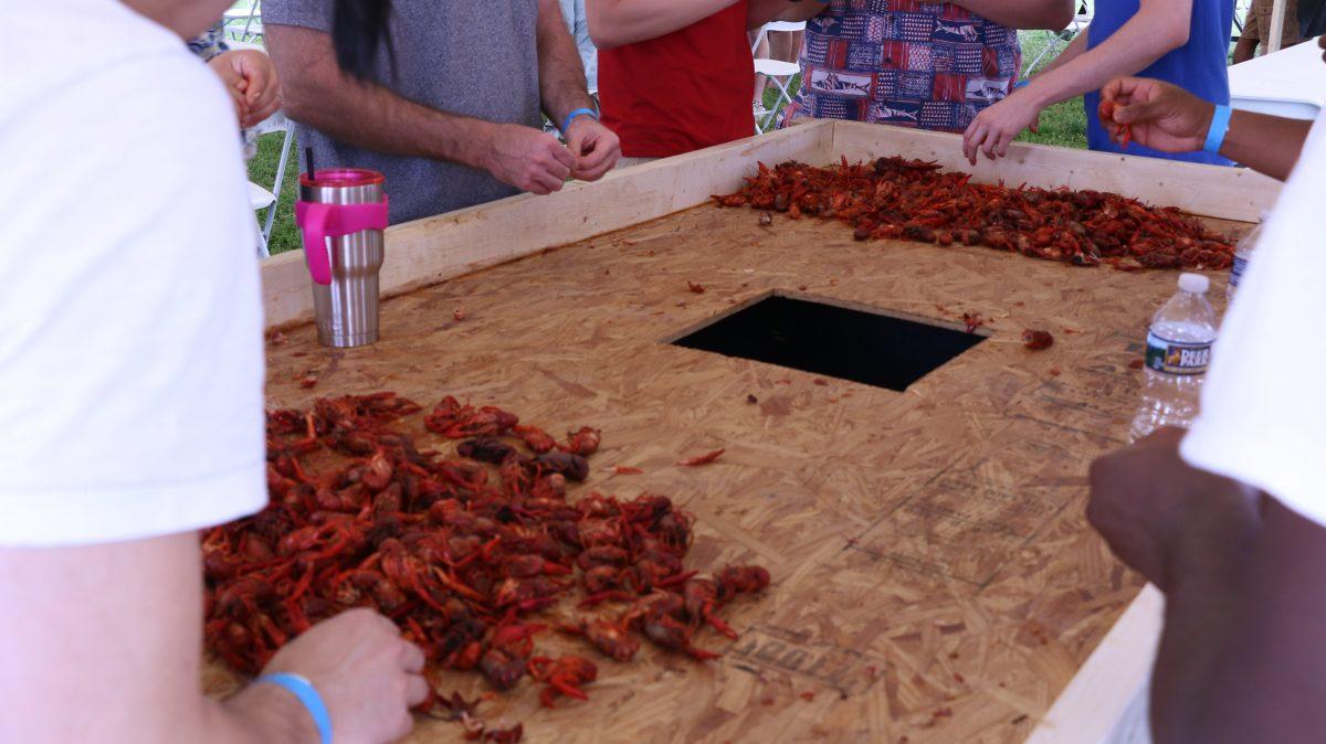 Guests gathered around to eat crawfish. There were several described methods of opening the shells on April 15, 2017. (Caleb Revill / MTSU Sidelines)