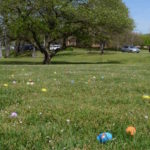 MTSUSidelines_News_PanEasterEggHunt_RobinDuff