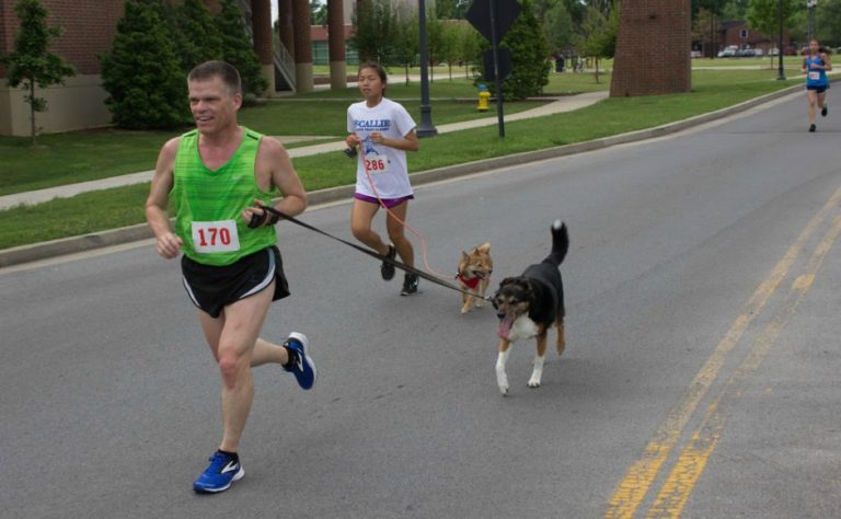 ‘A lot of dogs’: 12th Annual See Spot Run 5k hosted over the weekend to benefit local charities