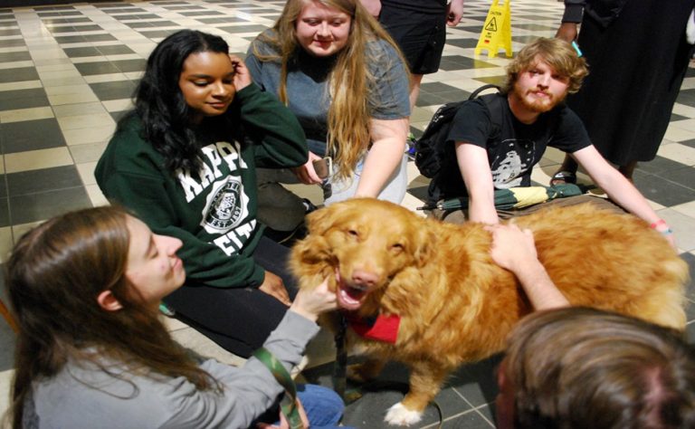 Therapy dog Canyon makes last visit to MTSU library on Sunday