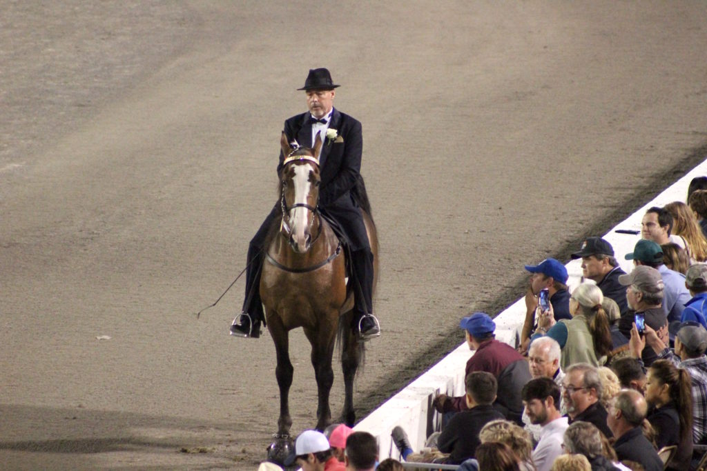 Photo gallery: Tennessee Walking Horse National Celebration makes its ...