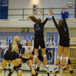 MTSUSidelines_Sports_Volleyball_AndrewBrown