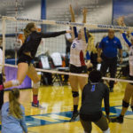 MTSUSidelines_Sports_Volleyball_AndrewBrown