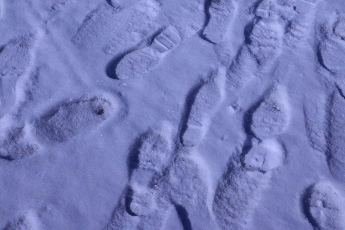 Students leave footprints in the snow as they walk to class on the first day of school on Jan. 18, 2018, in Murfreesboro, Tenn. (Andrew Wigdor / MTSU Sidelines)