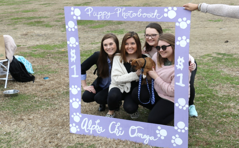 Photos: Alpha Chi Omega spotlights domestic violence awareness with puppy photo booth