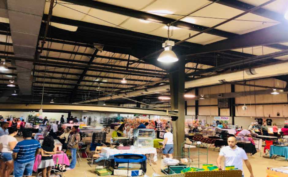 Photos: Heart of Tennessee Aviculture Society hosts Exotic Bird Fair at MTSU