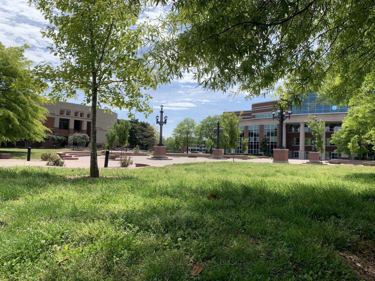 A lawn grows tall at MTSU as students and workers remain home.