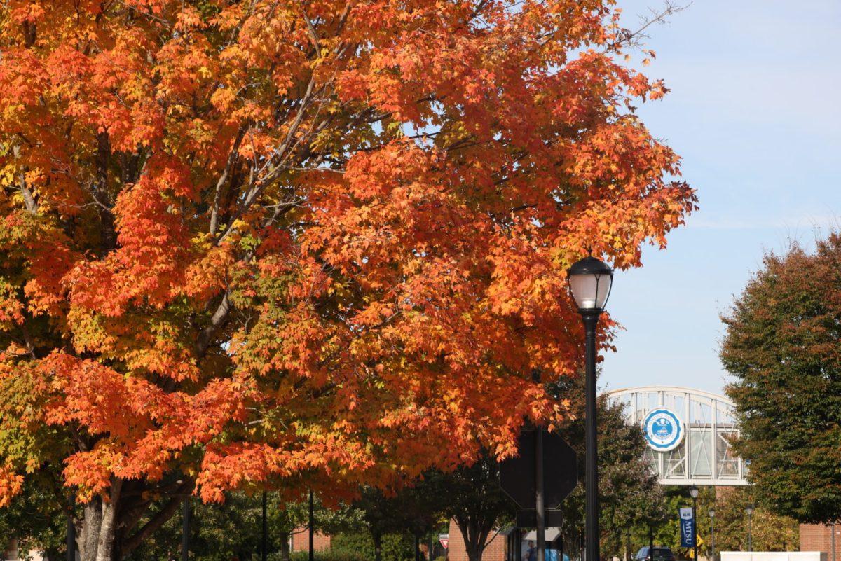 As fall passes by, seasonal affective disorder looms.