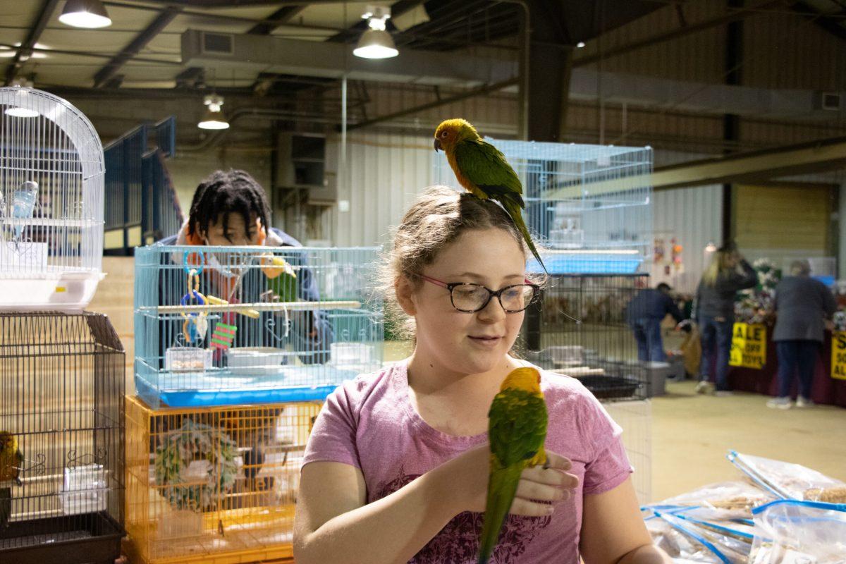 Exotic Bird Fair Held at MTSU's Livestock Center