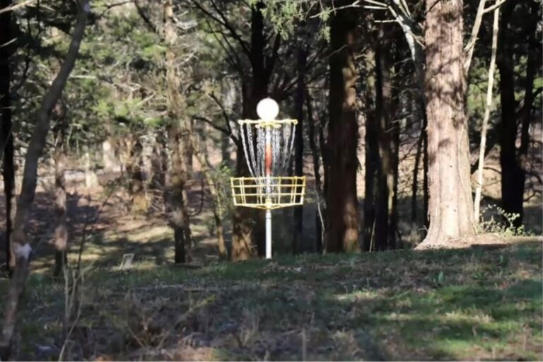 The growing sport that you haven’t been paying attention to: disc golf