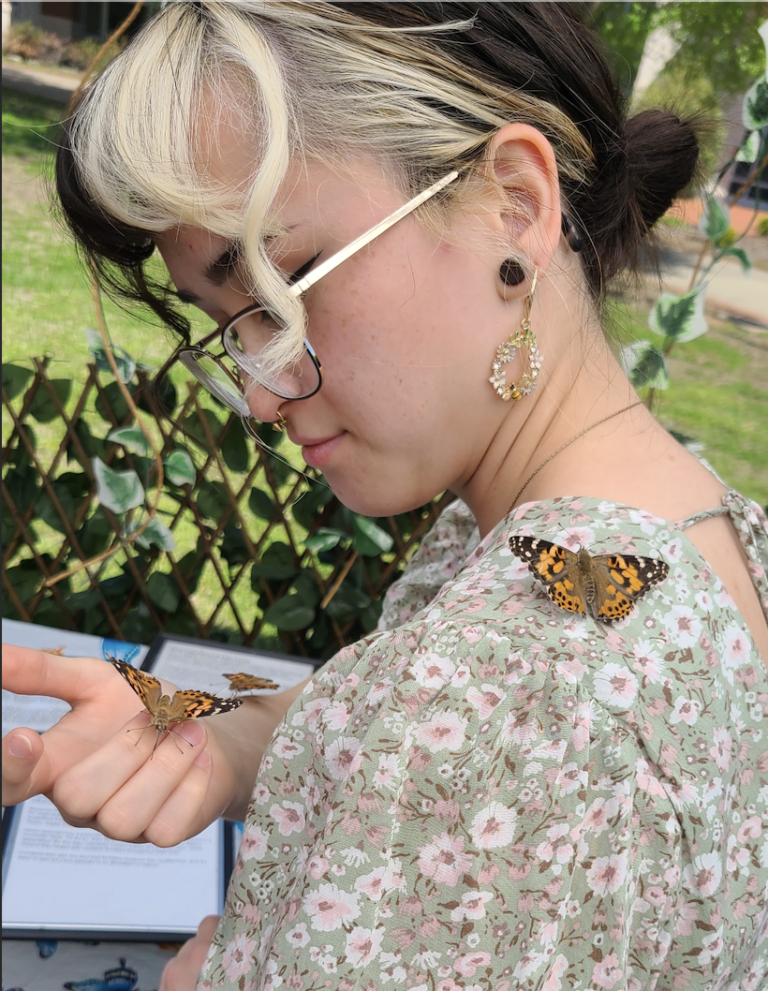 Students “catch” butterflies in SPARE sponsored pop-up