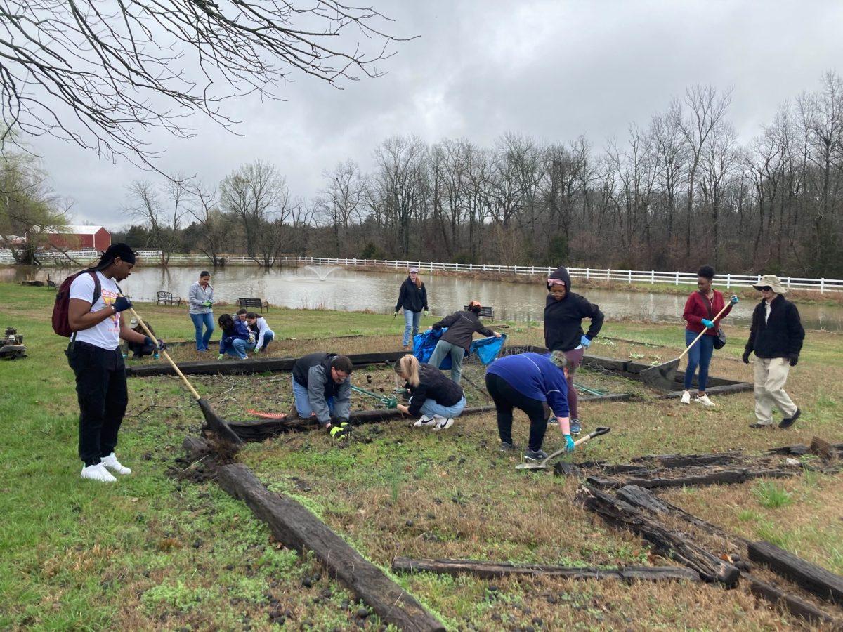 800 pounds of Cheez-Its: Students volunteer at Alternative Spring Break