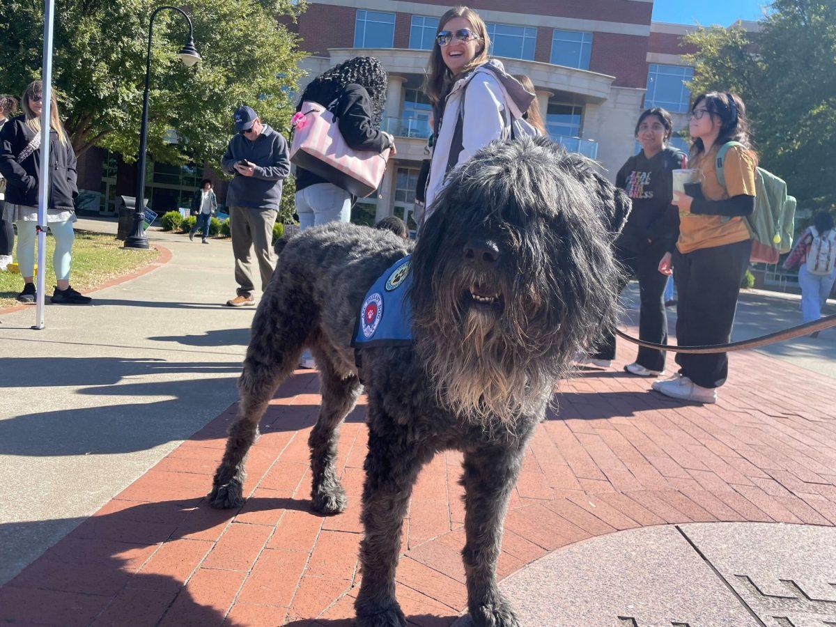 The June Anderson Center held an event called Pets Against Violence for National Domestic Violence Awareness Day on Oct. 17, 2024. (Photo by Lillian Chapman)