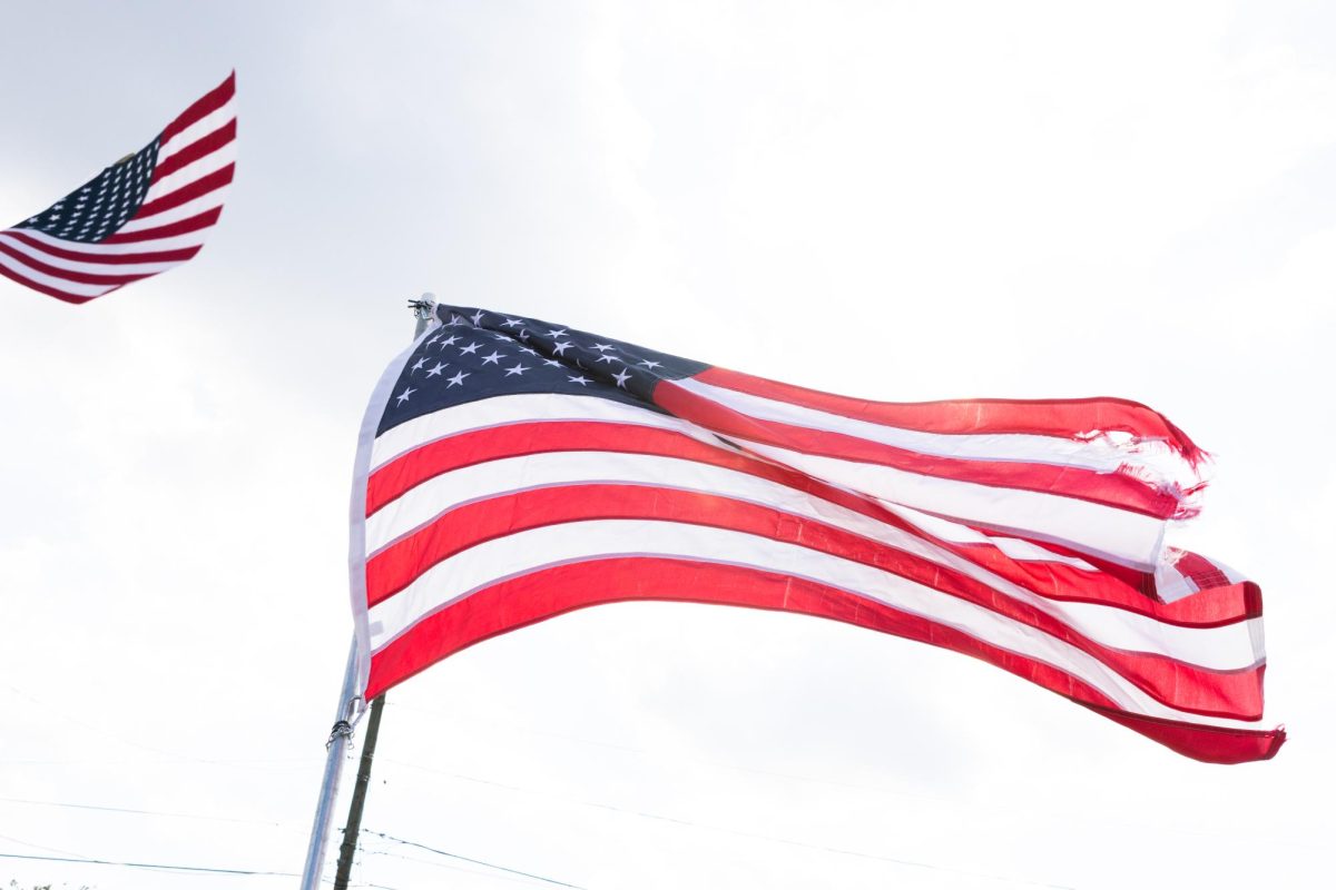 Tattered American flags fly at the No Kings protest in Murfreesboro, Tennessee, on Oct. 18, 2025.