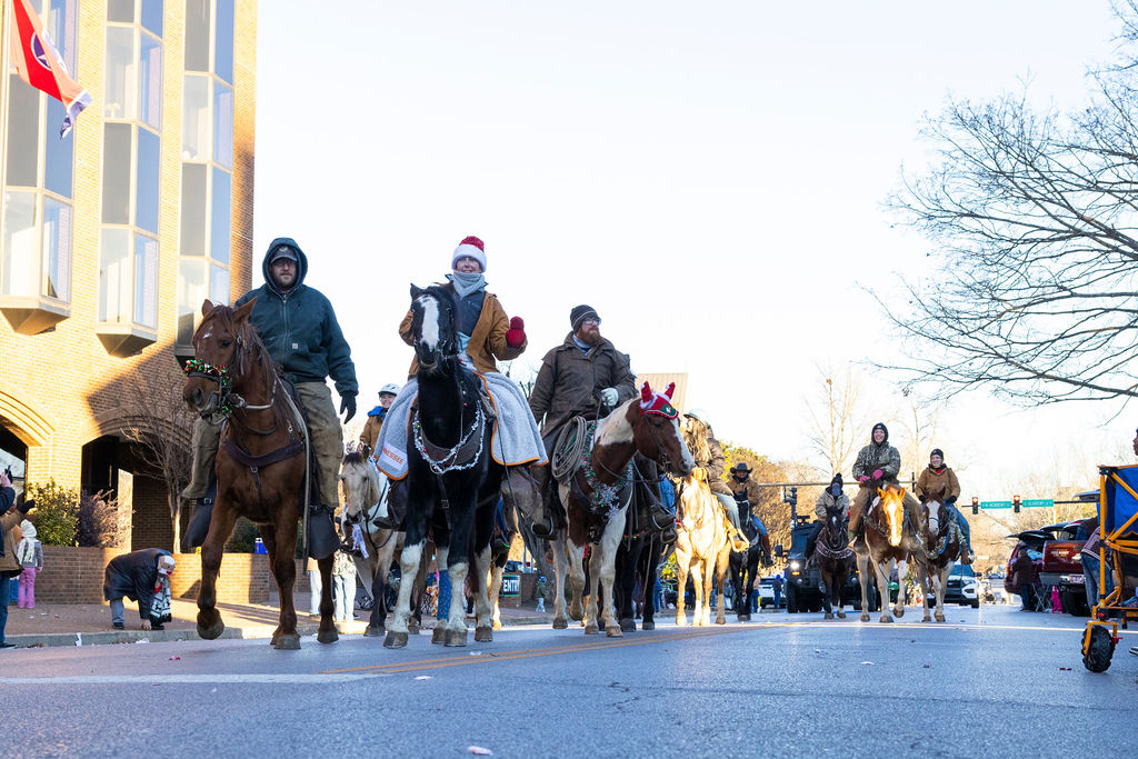 Horses mark the end of the Murfreesboro Christmas Parade on E Main St. on Dec. 14, 2025 

 