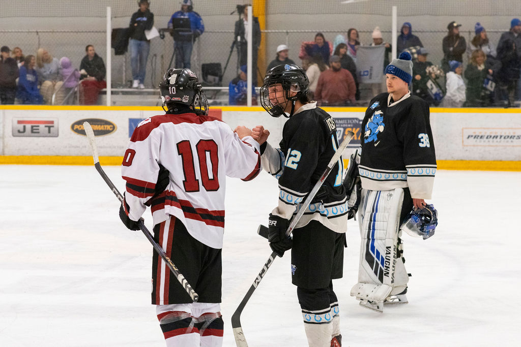Best hockey photos from the MTSU games against South Carolina.