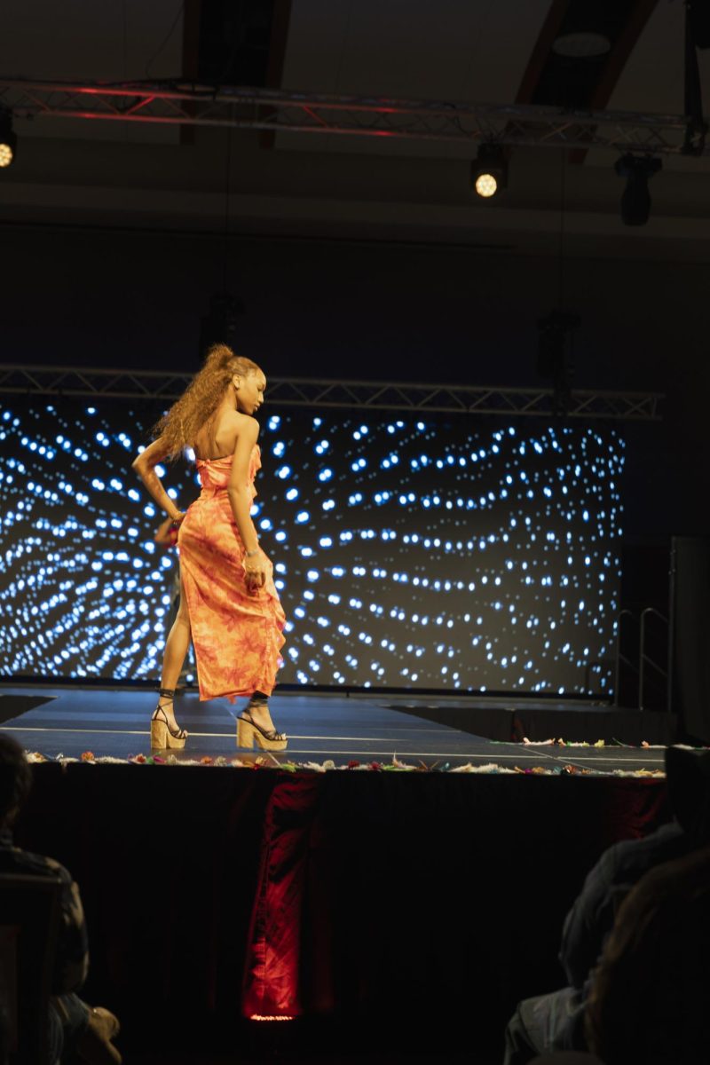 Model walking the runway in Carnival in the Motherland at the ASO fashion show at MTSU on
Feb. 13, 2026