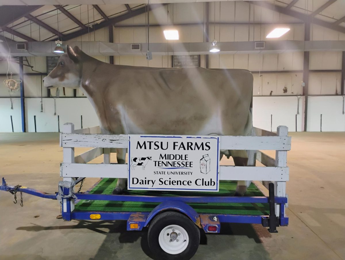 The Dairy Science Club's mascot "Betsy" sitting in a wagon at the MTSU Livestock Center on March 26, 2026.