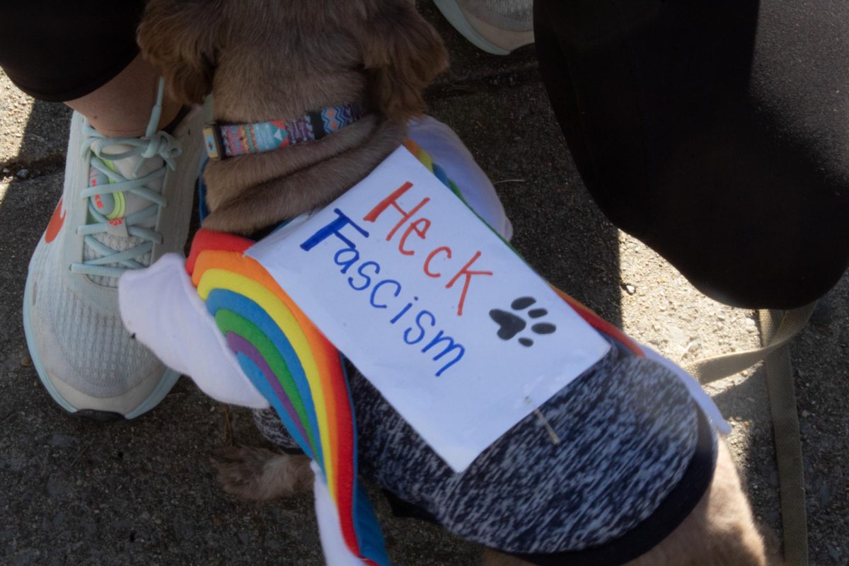 A dog named Sam wears a costume that says "Heck Fascism" at the "No Kings" protest in Murfreesboro, Tennessee, on March 28, 2026.