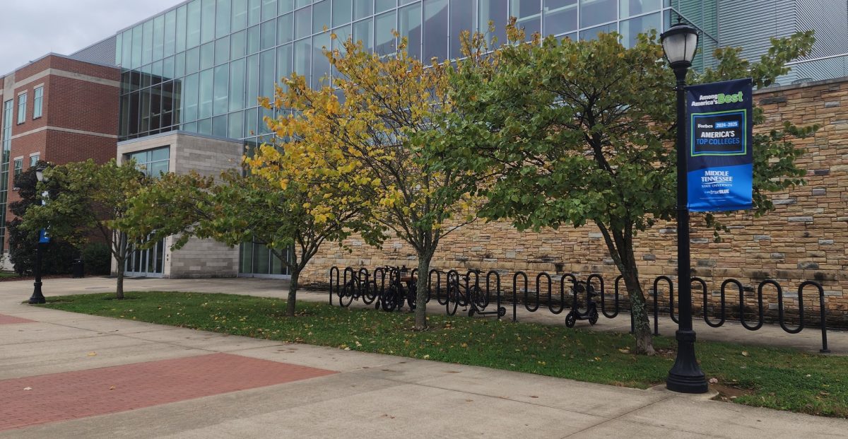 Trees outside MTSU's Science building. Photo courtesy of MTSU News.