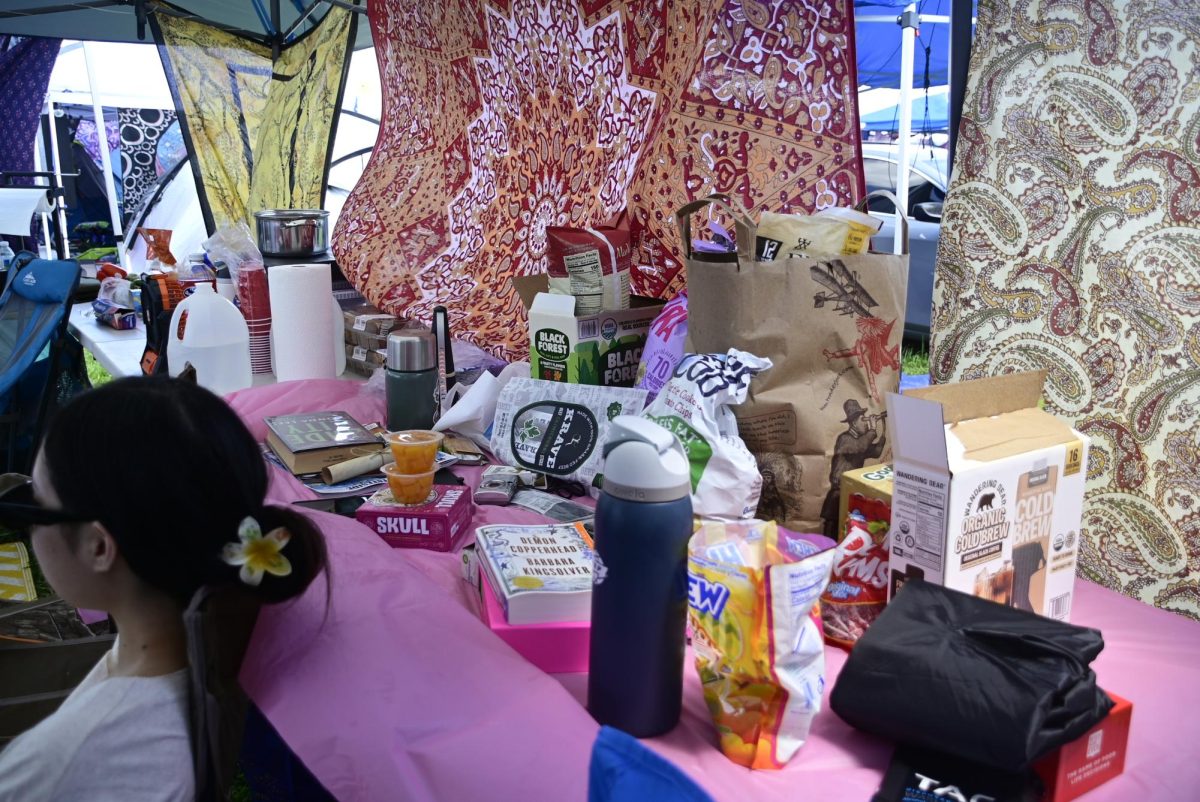 The food table at Camp Joey at Bonnaroo Music & Arts Festival in Manchester, Tennessee, on June 11, 2026.