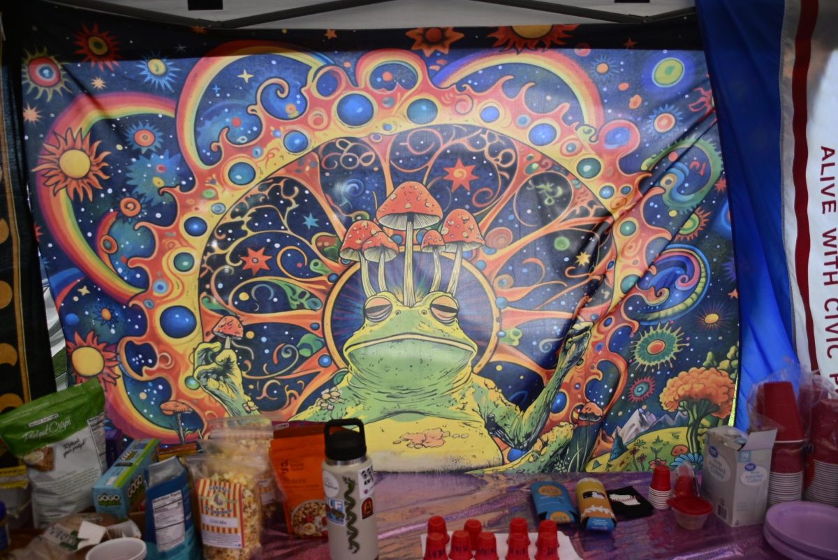The HypnoToad tapestry watches over its namesake camp at Bonnaroo Music & Arts Festival in Manchester, Tennessee, on June 11, 2026.